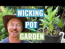 Wicking Pots & Aquaponics Gardens can both easily work Together for better growing Success!