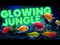 NEXT LEVEL your GloFish aquarium - AMAZING Results!