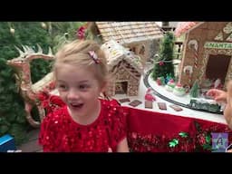 Princess Alisa - Vlog Xmas 2022