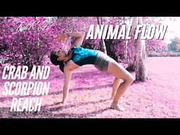 Animal Flow Workout for Beginners - Crab Reach and Scorpion Reach