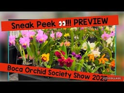 Preview sneak peek at Boca Raton’s Orchid Society show 2025!!!!