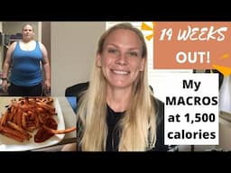 14 Weeks Out | PREP HAS STARTED | My Macros and Workout Schedule