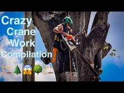 CRAZY Crane Work Compilation! BEST PICKS from 2018-2021!