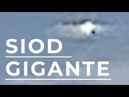 SIOD Gigante en el Horizonte - Gladys Cordova | GCEPERU