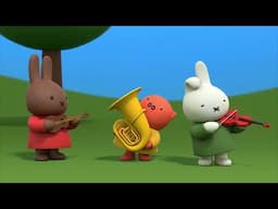 Miffy starts a band | Miffy | Cartoons for kids