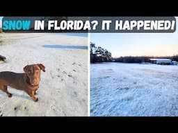 SNOW In FLORIDA?? It Happened!