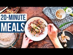 Fast & Healthy 20-Minute Recipes! #healthyonabudget