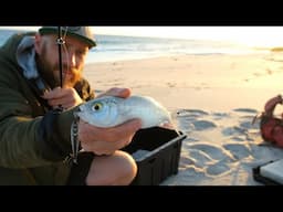 South Coast Beach Fishing