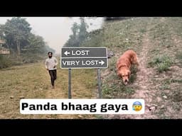 Panda phir bhaag gaya 😰