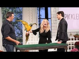 Pickler & Ben's Favorite Animal Moments - Pickler & Ben