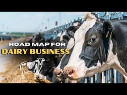 Road map for dairy business.