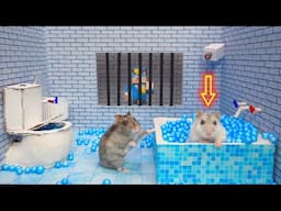 Hamster Escapes Prison Maze🛑Live Stream