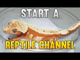 How To Start A YouTube Channel For Reptile Breeders! 2/2