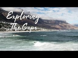 Exploring the Cape - South Africa | Part 3 of 4