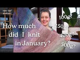 This is How Much Yarn I Used in January!