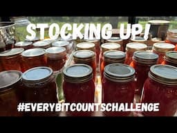 Stocking My Pantry Shelves | #everybitcountschallenge | Food Preservation | Canning Tomatoes | 2023