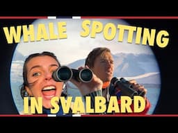 Searching for whales in Svalbard | Visit Norway