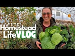 FRIGID Temps: Rescuing Plants, Caring for Animals (& Longing for Spring) | Farm Life VLOG