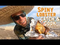 Cooking Fresh Spiny Lobster On A Driftwood Beach Fire | CATCH AND COOK | Sailboat Story 268