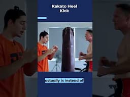 ⚔️HEEL/KAKATO KICKS⚔️         #kyokushin #karate