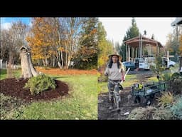 Behind The Scene Of My “Impromptu Gardening” Method And Roofing The Studio/Getaway Loft -  Day 6