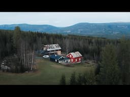 We bought a Farm in the Forests of Norway | #45