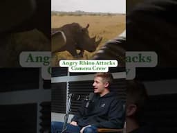 Rhino Attack #naturedocumentary #animalattacks