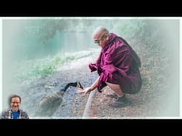 The Power of Kindness - Cultivating Compassion and Kindness from Early Buddhist Teachings