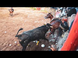 TERROR EN EL RUEDO, LE TOCO A CHECO DE SAN RAFA CON EL JUDIO DE LAS 2 GENERACIOES 😱😨‼️🔥