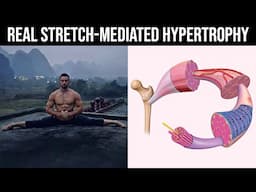 The Anabolic Benefits of Stretching (How to Use Stretching/Yoga for Hypertrophy)