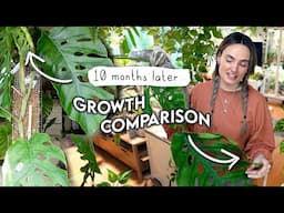 10 Month Before + After 🌱 Growth Comparison HOUSEPLANT EDITION