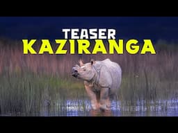 Teaser - Kaziranga National Park - 4K Video