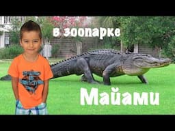 Тема в зоопарке Майами! Интересные добрые животные Август 2017 год