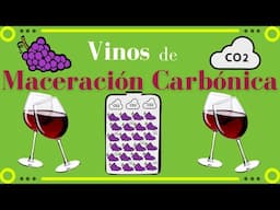 Vinos de MACERACIÓN CARBÓNICA 🍇 [Elaboración, tipos y zonas]