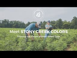 Meet Stony Creek Colors