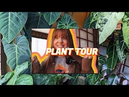 PLANT TOUR! Showing you around my whole plant collection!