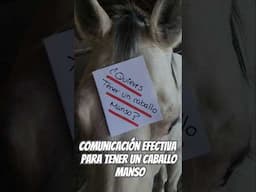 Curso - Comunicación Efectiva para tener un caballo manso. Info whatsapp 449 4630584