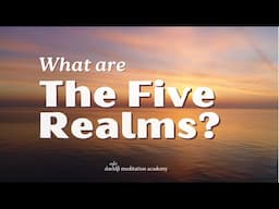 The Five Realms | davidji