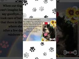 I'm At the Rainbow Bridge🌈🐾A Message from the Dog #memories of #dog #love #shorts #rainbow #meaning