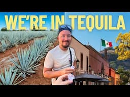 Exploring Jalisco Mexico: A Tequila Adventure (Day trip from Guadalajara) 🇲🇽