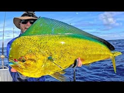 Mahi Madness! The ocean was ALIVE with fish!! (Catch & clean)