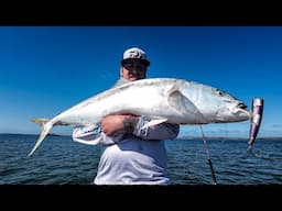 Monster Fish | Casting Into a Massive Feeding Frenzy