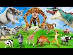 10 White Elephants Cow Gorilla vs 5 Jaguar Biggest Wolf vs Tyrannosaurus Attack Giraffe Brown Bear