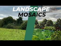 Ep. 230 EXPLORING GREEN THROUGH TWO MOSAIC LANDSCAPES!