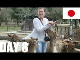 Nara Park & Kyoto. [Japan, Day 8]