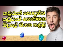 මිදුලේ තිබිලා ලැබෙන වාසනාව | Find Gemstones from Your Garden | Gems and Financial Investments