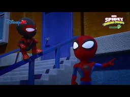 🐝Elektryczne owady | Spidey i super-kumple | Disney Junior Polska