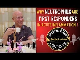 Neutrophils | Cells in Acute Inflammation | Audio Lecture