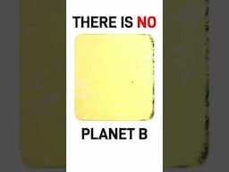 There is no planet B