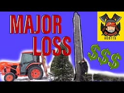 Major Woodlot Loss - Spruce Log Harvest from Storm Damaged Trees  -E197